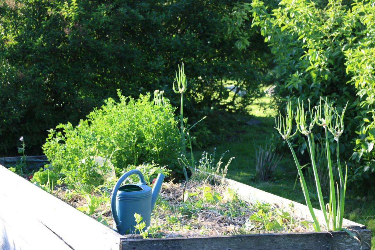 Bed and Breakfast Le Bourgis La Chapelle-Montligeon Экстерьер фото