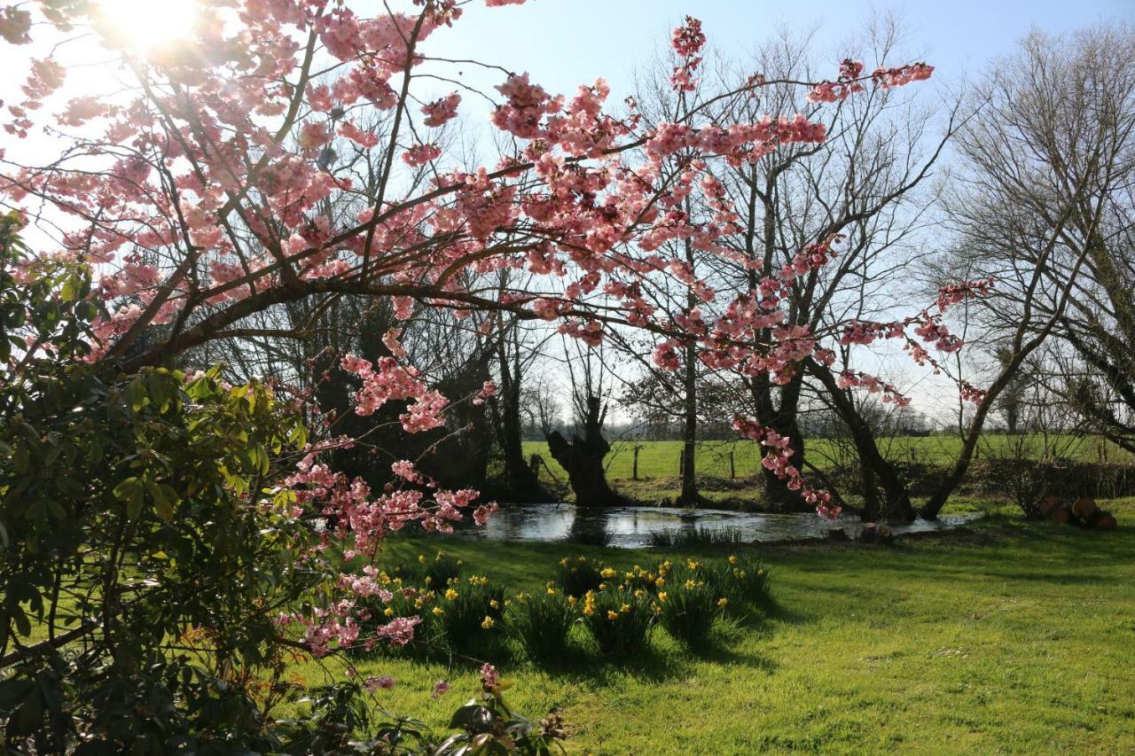 Bed and Breakfast Le Bourgis La Chapelle-Montligeon Экстерьер фото